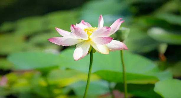한림공원