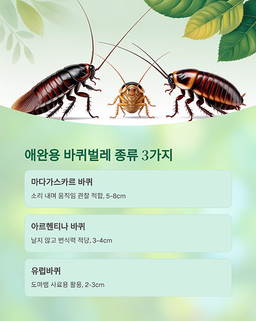 애완용으로 키우는 바퀴벌레의 종류
