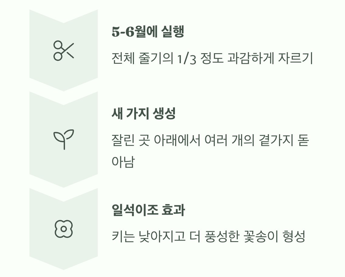 쓰러짐 방지, '순지르기'의 마법