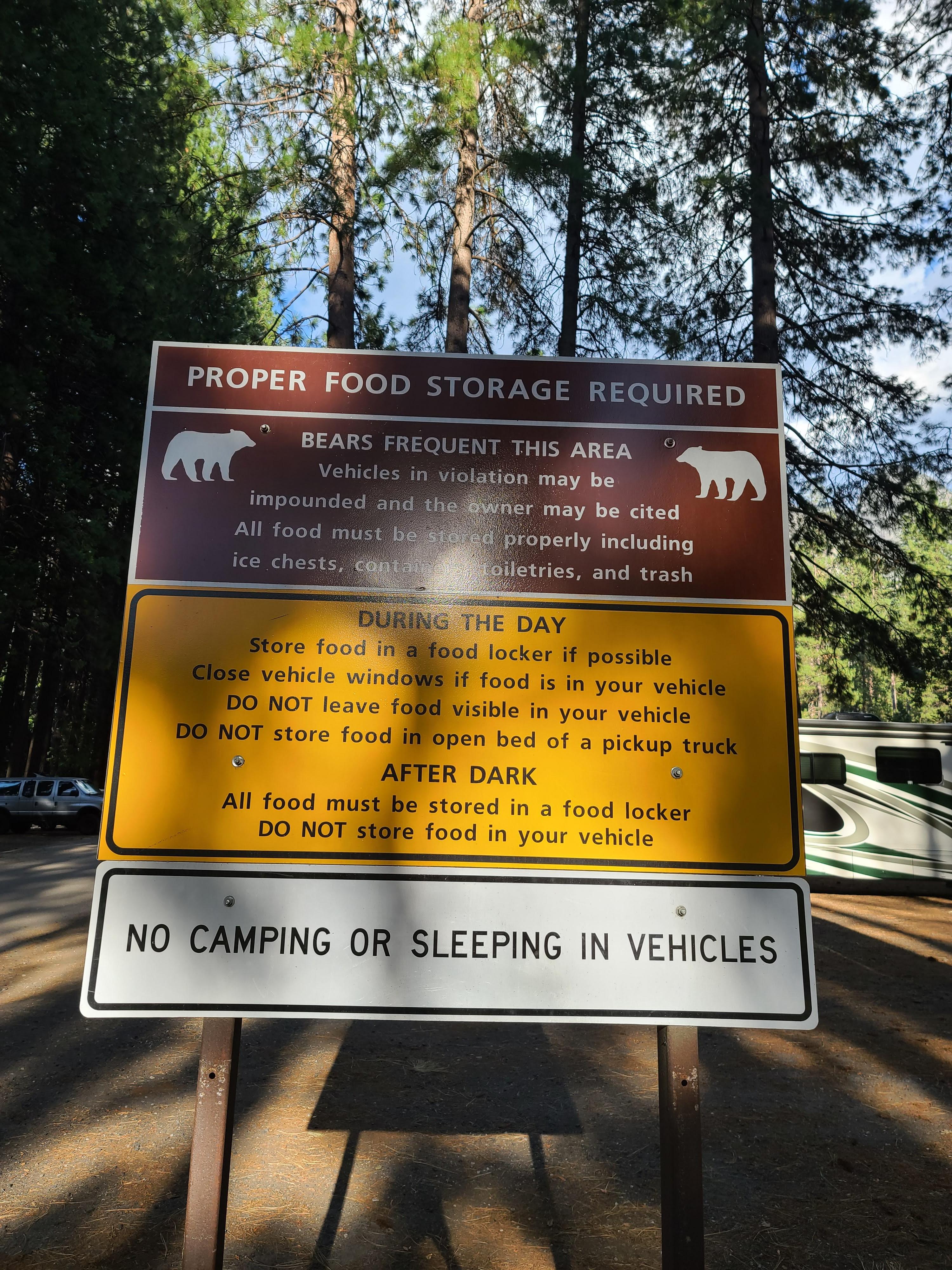 요세미티 국립공원 후기