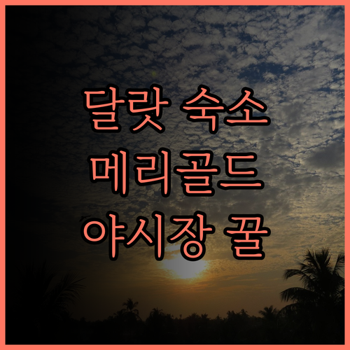 달랏 메리골드 호텔 추천 깔끔한 객실