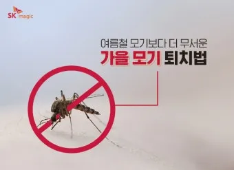모기 박사님 추천 모기 퇴치법과 여름철 모기 없는 집 만들기 실전 전략_3