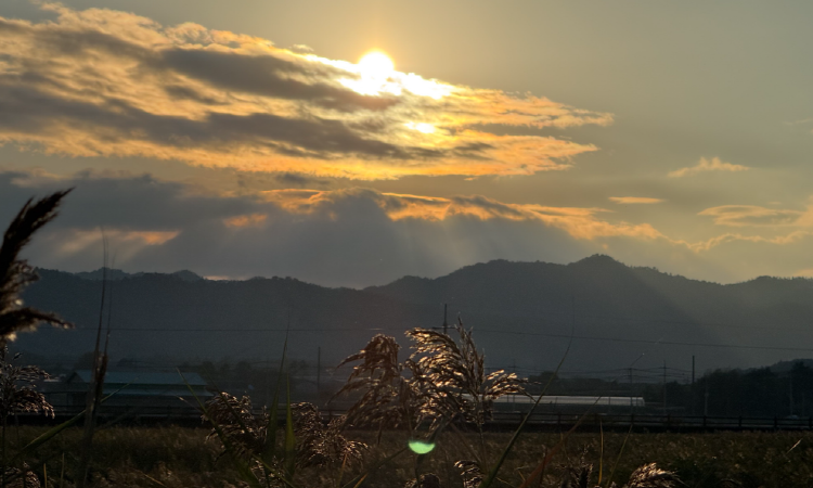 강진만 생태공원