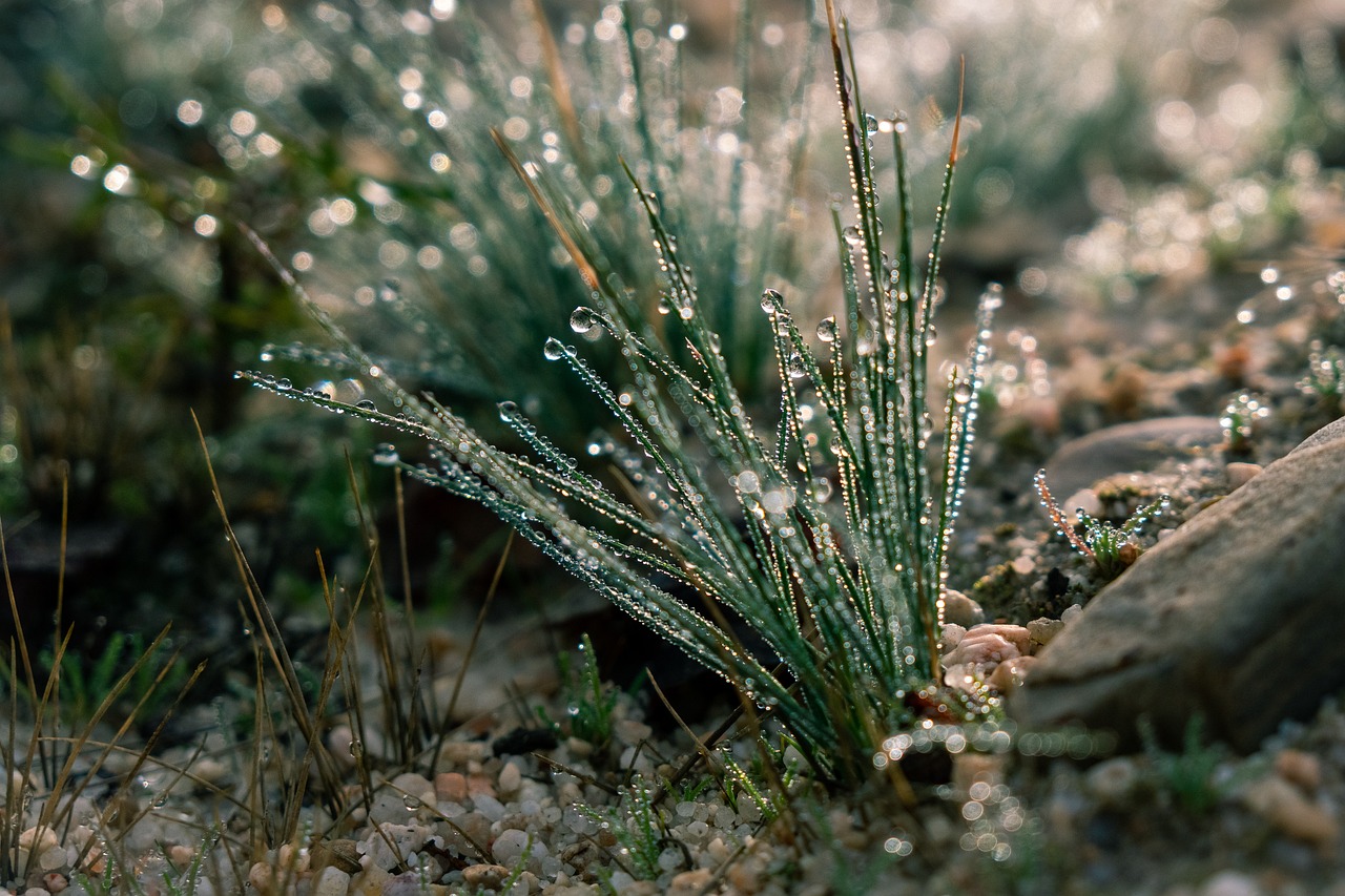 곰팡이 제거방법과 제거제 추천 총정리!