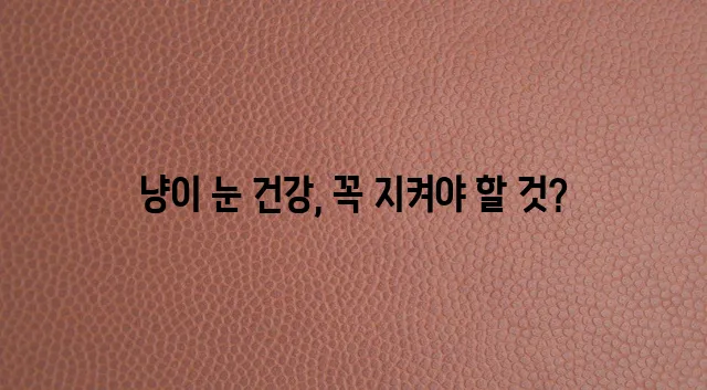 다음과 같은 재구성이 가능합니다:

*   고양이 눈 질환 종류와 해결책 예방이 중요합니다!