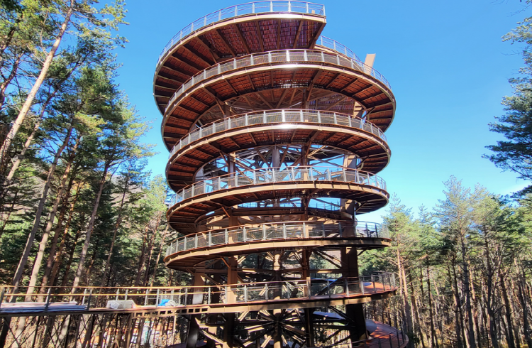 태백산 하늘전망대