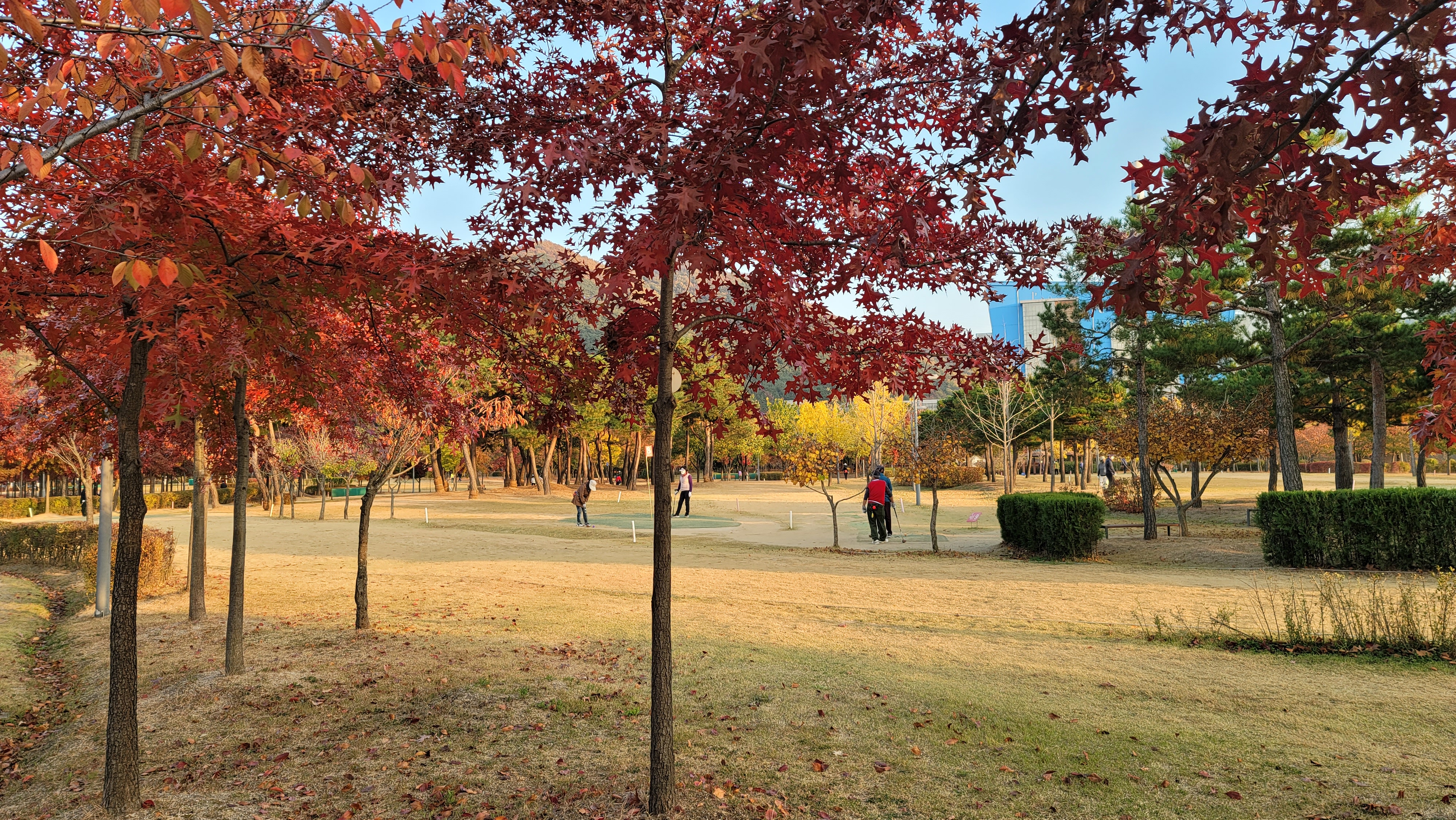 낙엽으로 뒤덮인 OB존