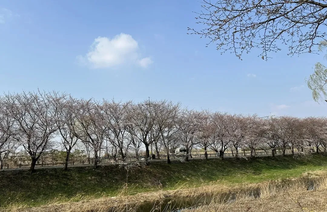 김포 5일장 날짜와 주차정보 먹거리를 안내_5