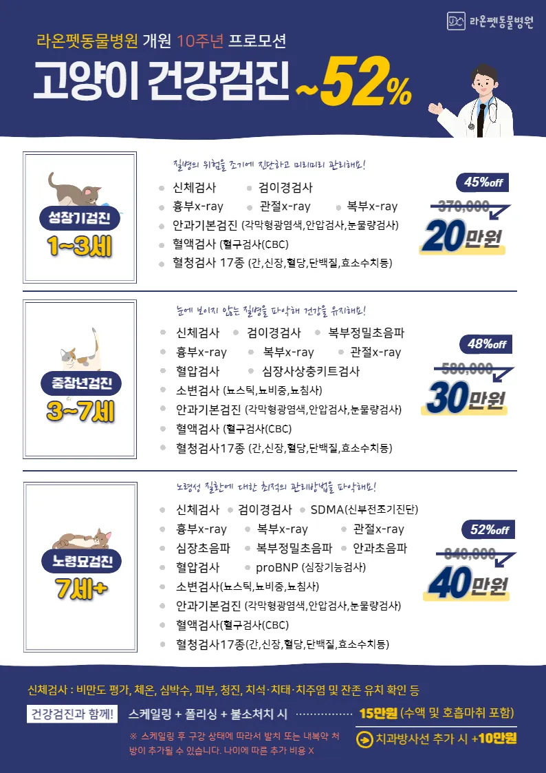 "집에서