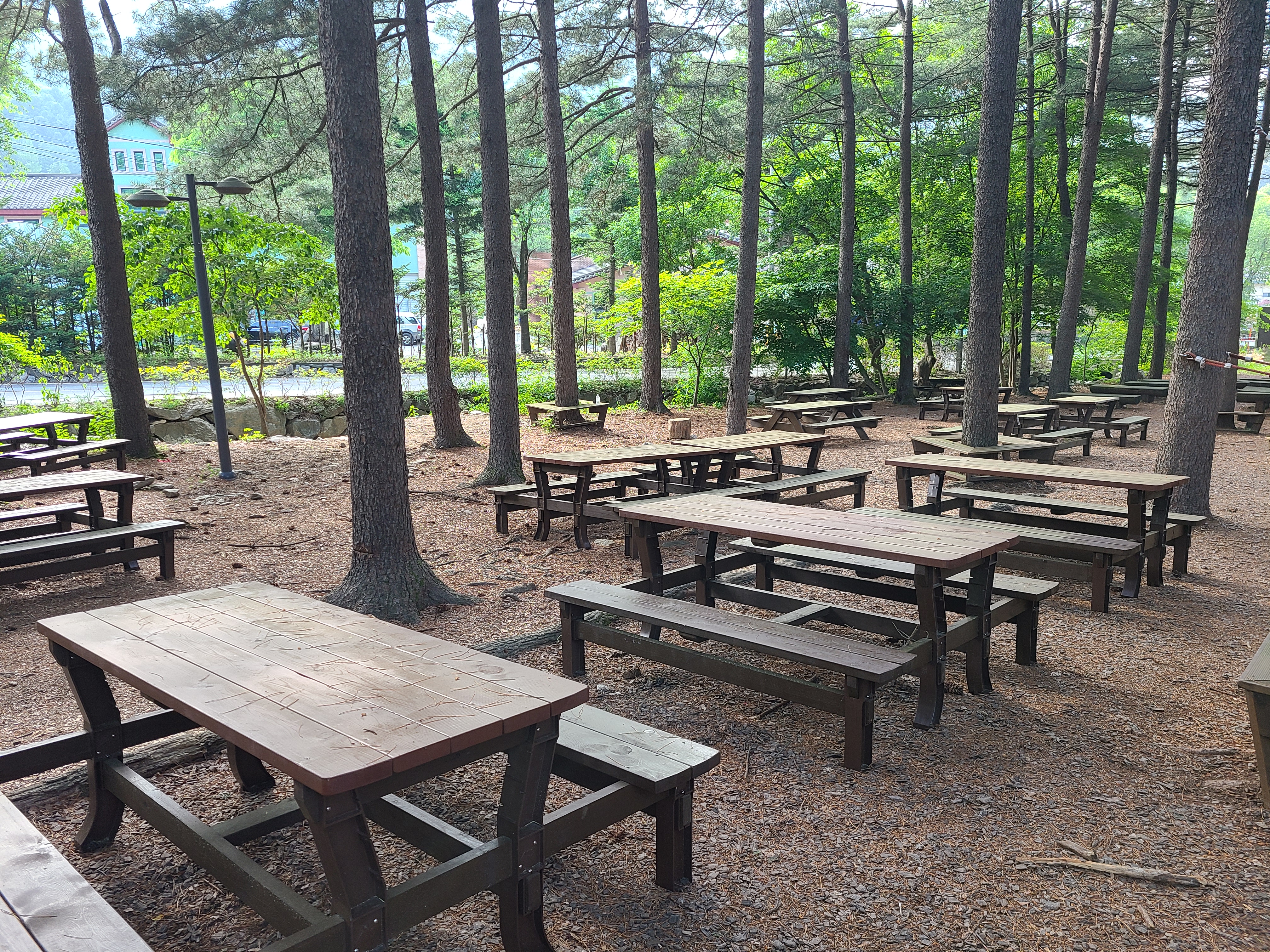 유명산자연휴양림 숲 체험장