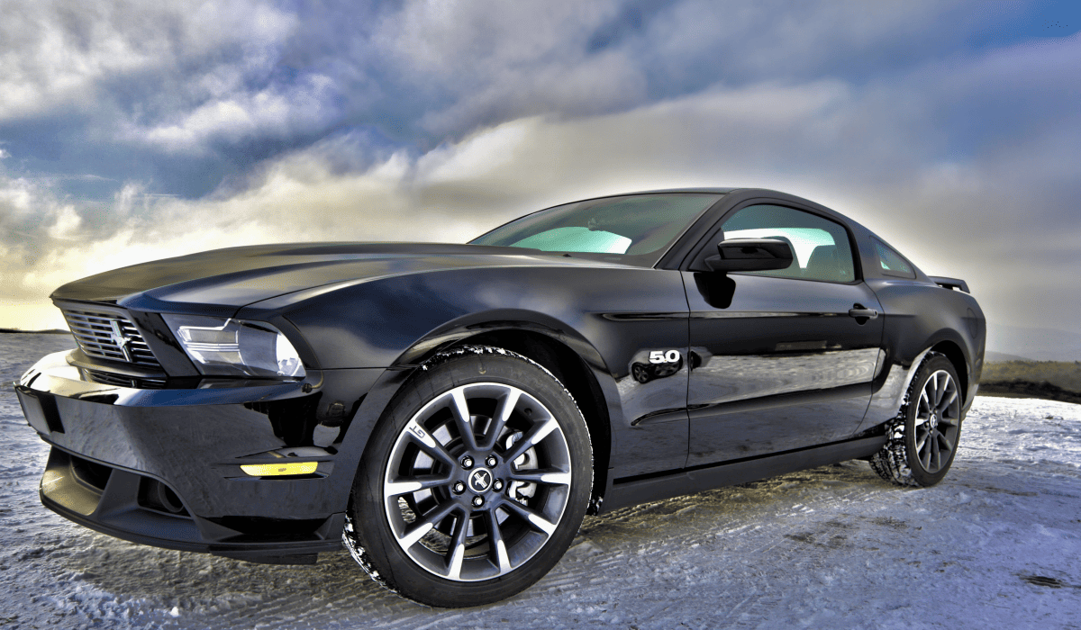 내차_시세조회_20