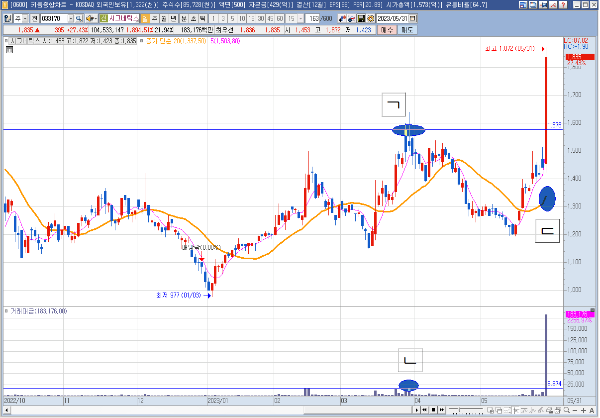 시그네틱스 일봉