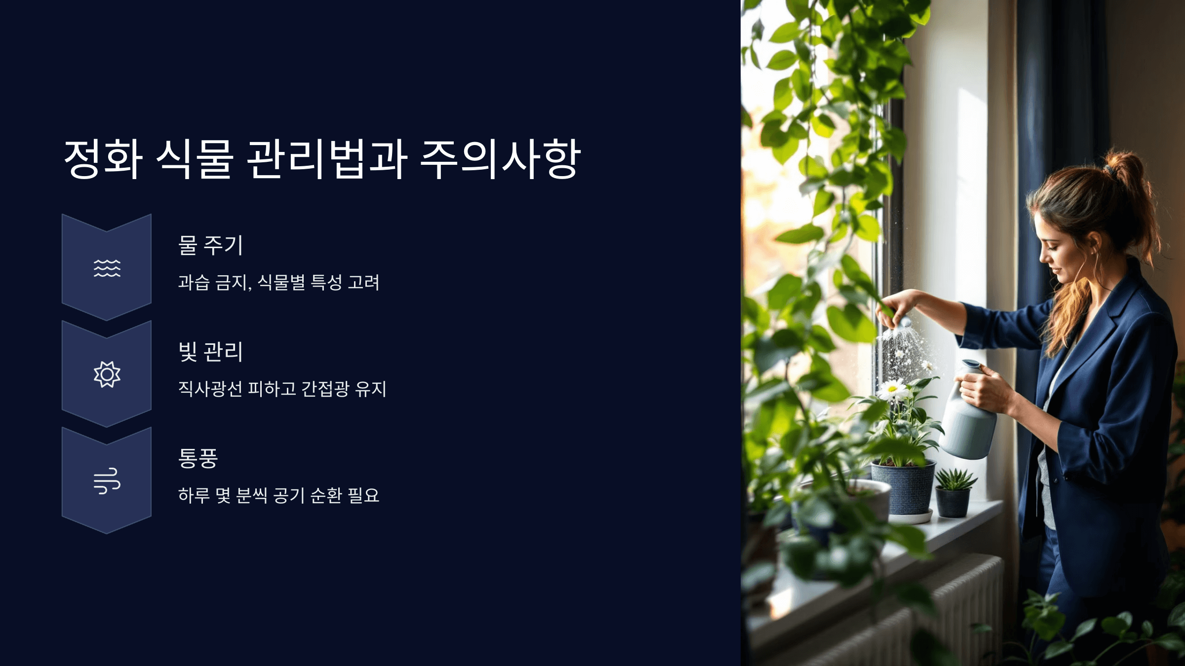 관리법과 주의사항