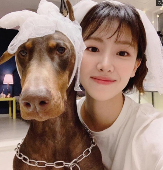 배다빈 프로필 (나이/ 영어/ 학교)