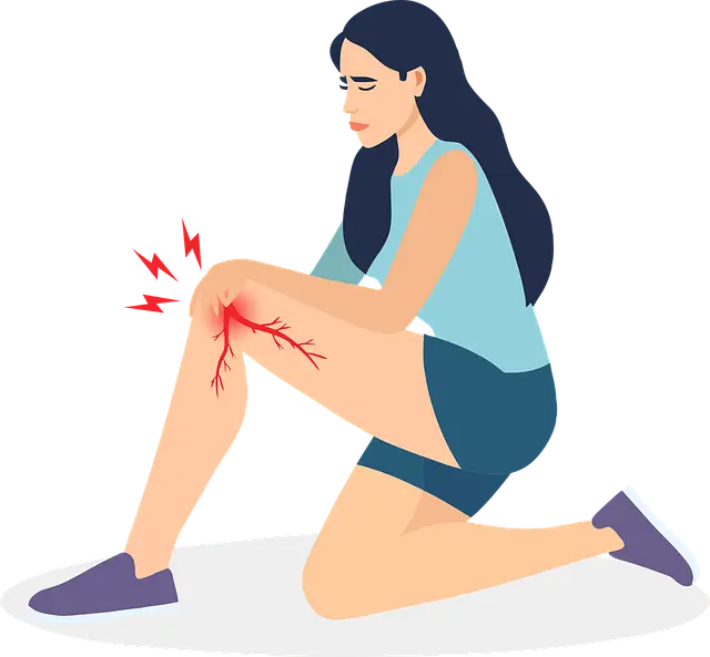 콘드로이친 효능, 부작용, 섭취방법