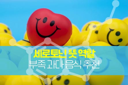 세로토닌-썸네일
