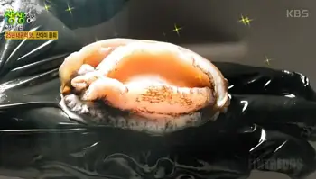 2tv 생생정보산더미물회 장사의 신 23