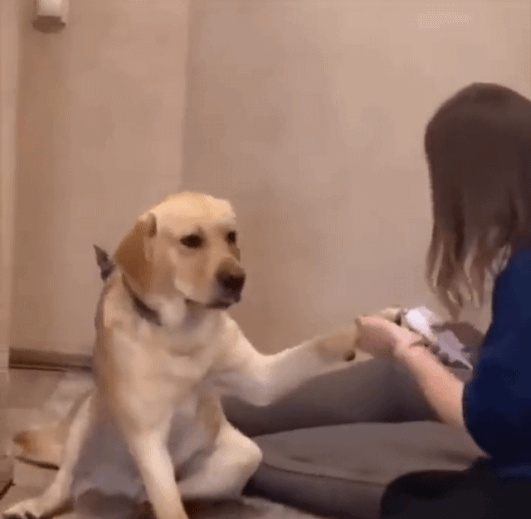 경제뉴스 부동산뉴스 신문스크랩 9월 5일