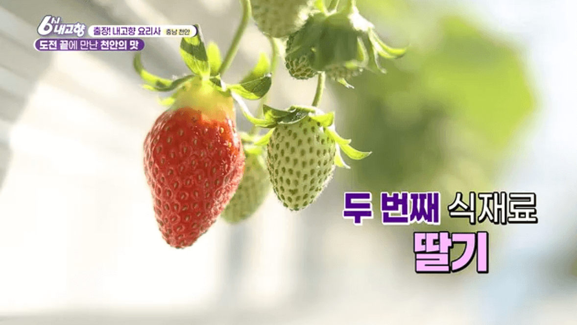 [6시내고향]충남 천안 참송이버섯 아산 딸기 &amp;#39;다울농장&amp;#44; 썬비딸기&amp;#39; 택배 판매 연락처 정보