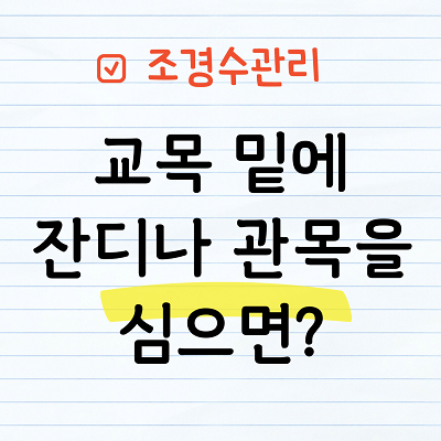 교목 밑에 잔디를 심으면?
