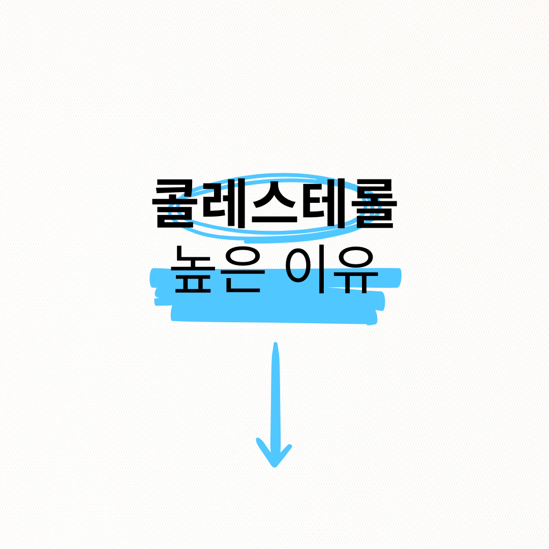 콜레스테롤 높은 이유 잠을 충분히 못 자서