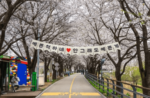 갈산누리 봄 축제