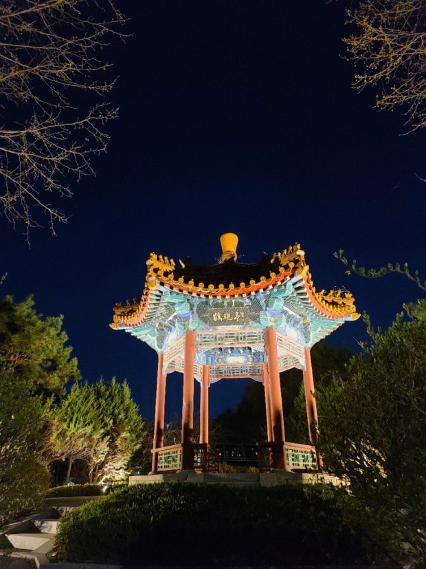 경기도 일산 호수공원 전망대의 야경, 전통 정자가 화려한 조명에 빛나는 모습