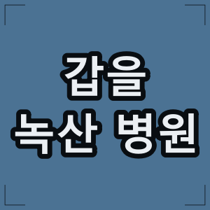 갑을녹산병원 - 부산 강서구 응급 진료, 야간 혈액 투석 [인공신장실]