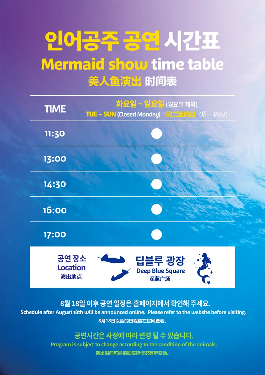 코엑스 아쿠아리움 도심 속 해양 생태 체험&amp;#44; 아이와 함께!
