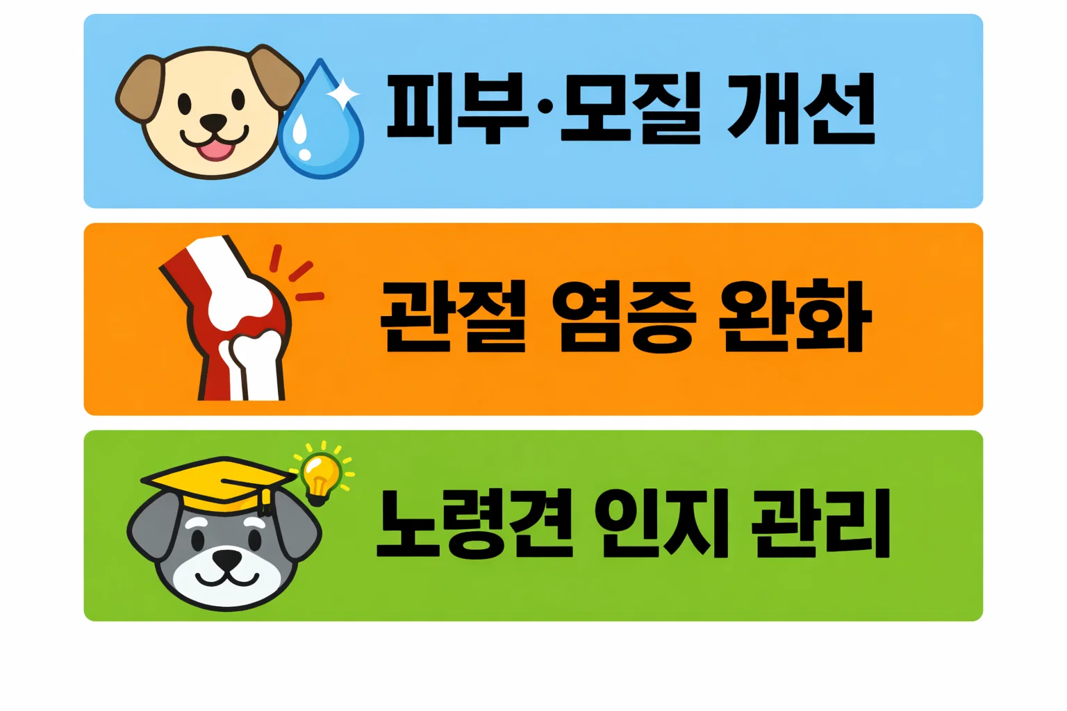 강아지 오메가3 효능으로 피부·모질 개선, 관절 염증 완화, 노령견 인지 기능 관리 효과를 정리한 인포그래픽 이미지