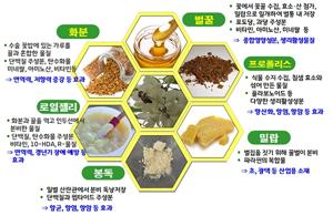 꿀화분 효능