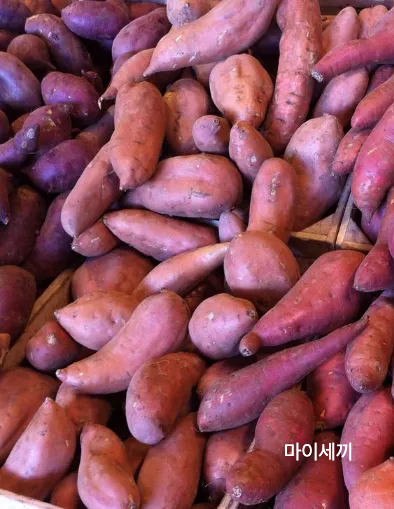 식이섬유 풍부 생고구마