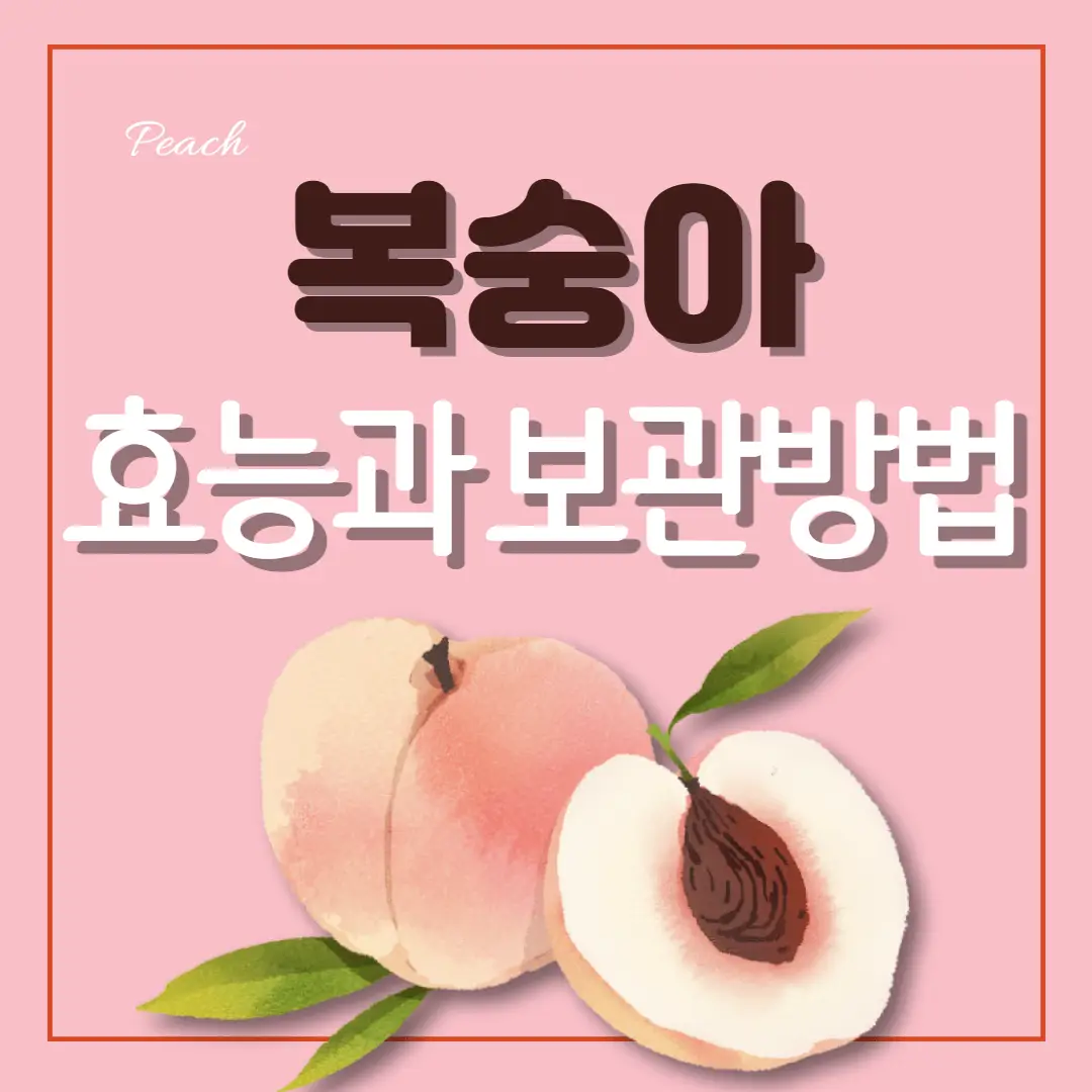 복숭아 효능