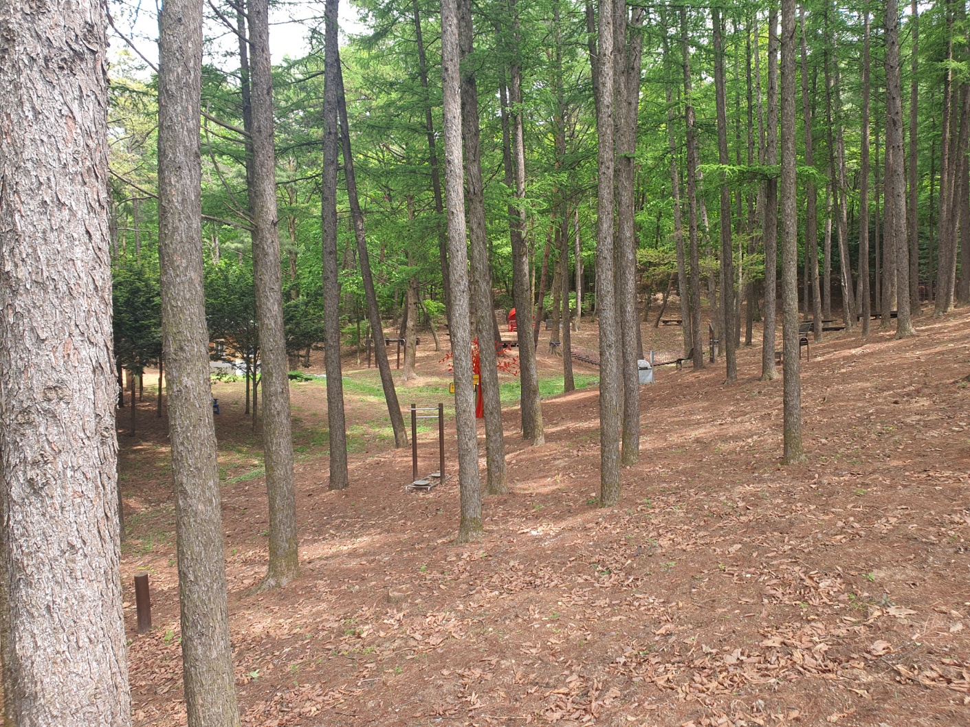 봉래산산림욕장