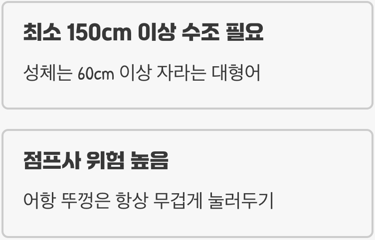 어항, 작은 연못을 선물하세요
