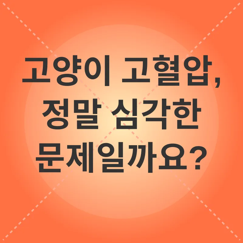 고양이 고혈압 관리_1