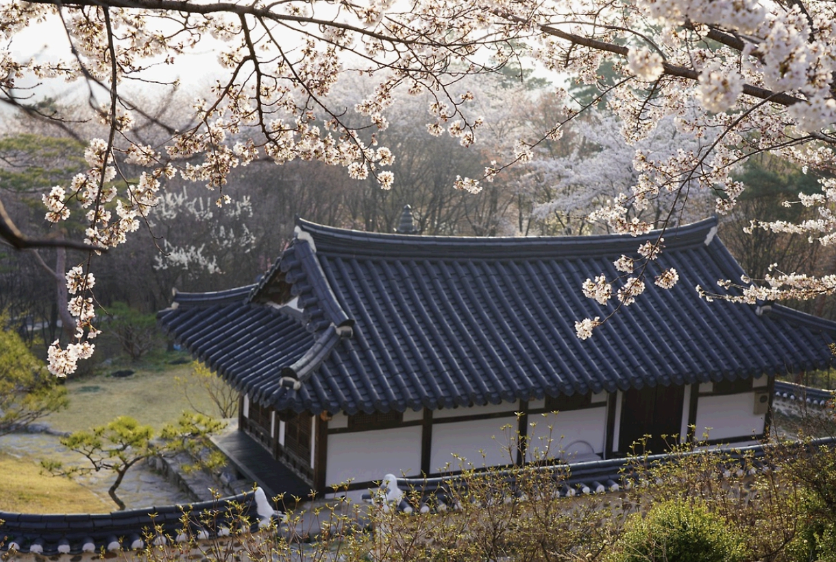 한국 건축의 미학