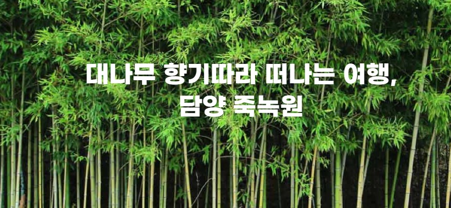 담양 죽녹원