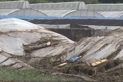 특별재난지역 선포 기준과 혜택 재난지원금 신청 방법