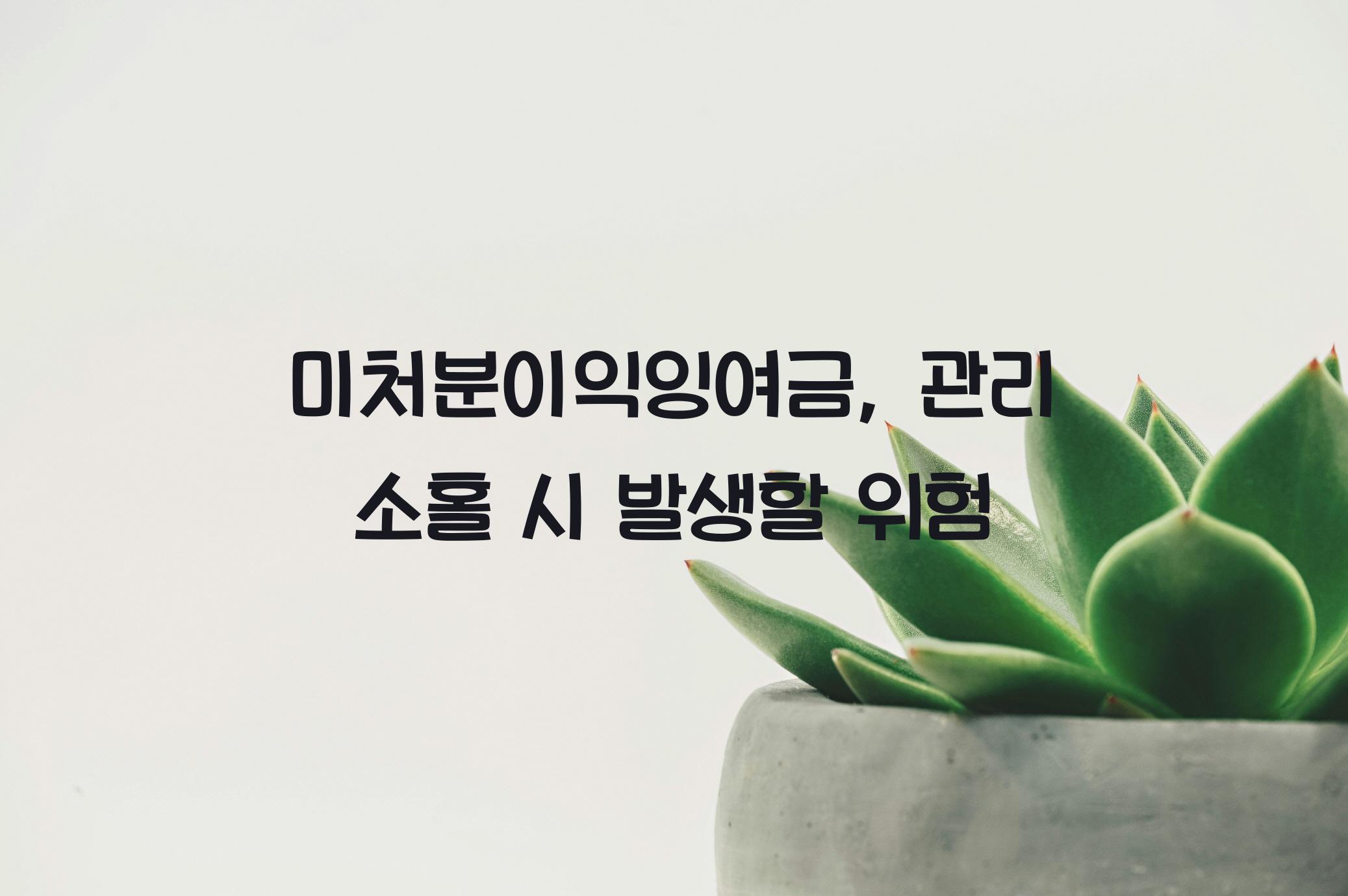 미처분이익잉여금