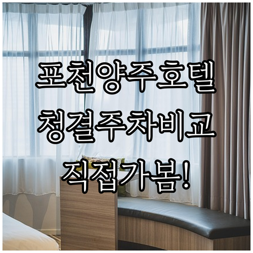 직접 확인한 포천 양주 호텔 후기 청..