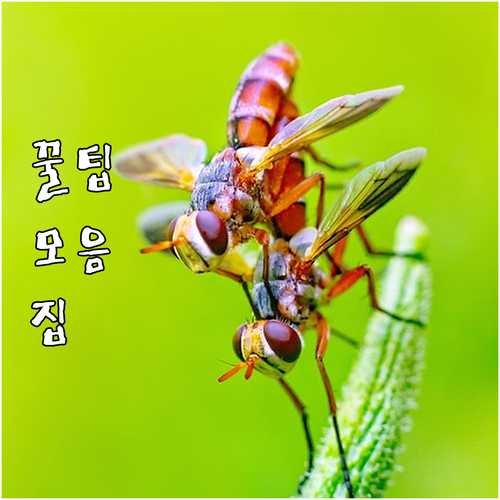 대전 중증장애인 활동지원 2025년 ..