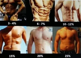 40대 여자 체지방률 평균 20~25% 계산 방법 측정법 다이어트_7