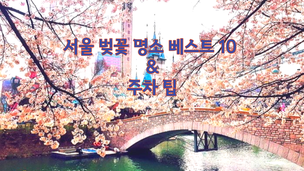 서울 벚꽃 명소 베스트 10