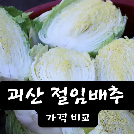 괴산 절임배추 가격 비교 농협 20kg