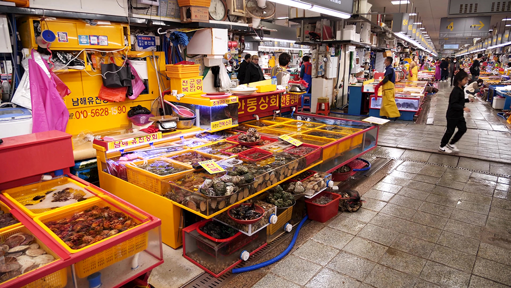 민생회복 소비쿠폰 신청방법