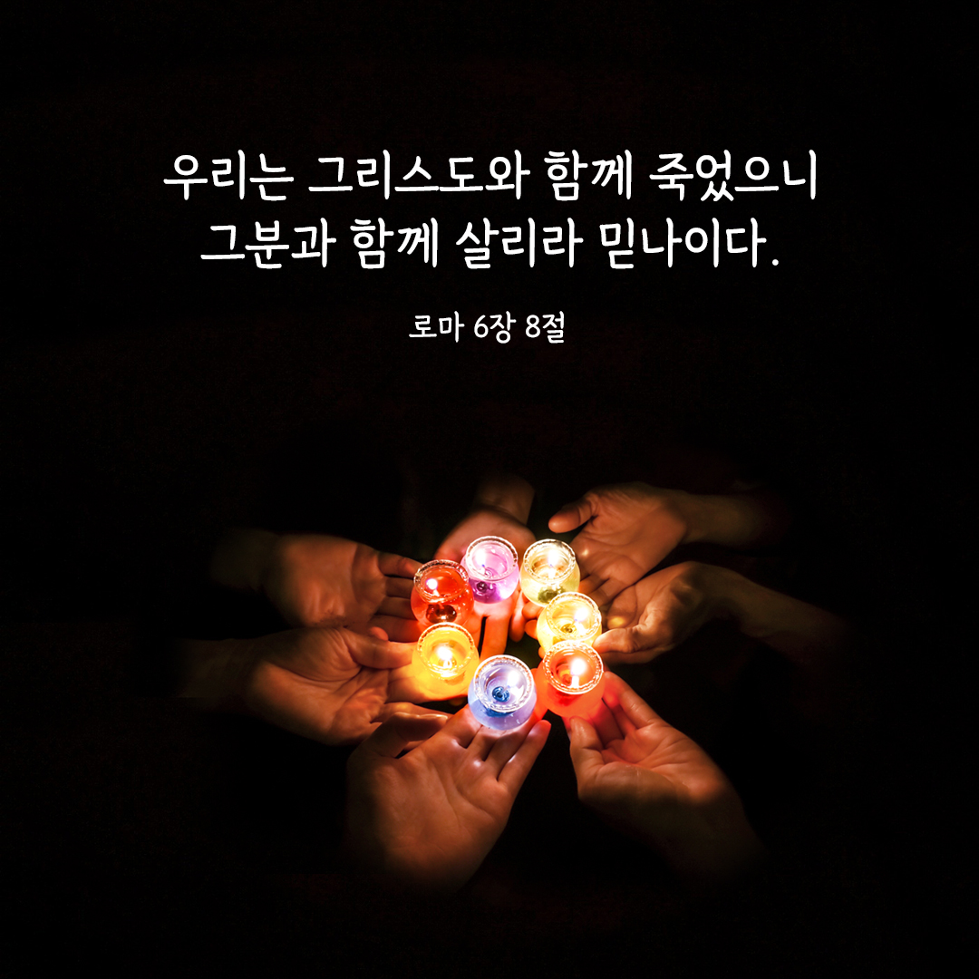 우리는 그리스도와 함께 죽었으니 그분과 함께 살리라 믿나이다. (로마 6&#44;8) 로마서 성경 말씀 카드 이미지
