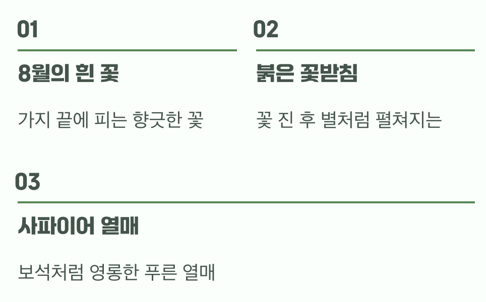 비결 4. 꽃부터 열매까지, 가을의 보석