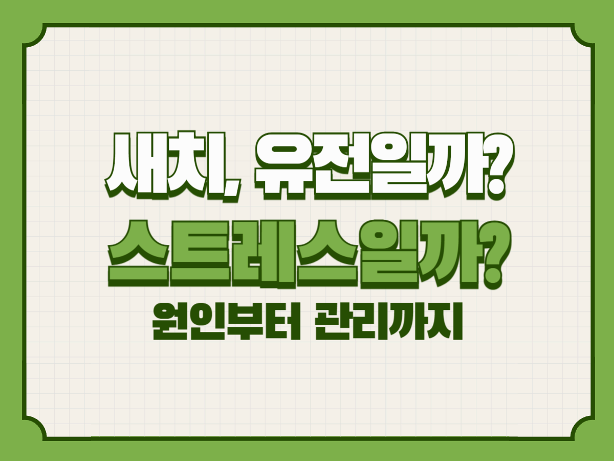 새치, 유전일까? 스트레스일까? &ndash; 원인부터 관리까지