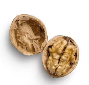 알부민 많은 음식